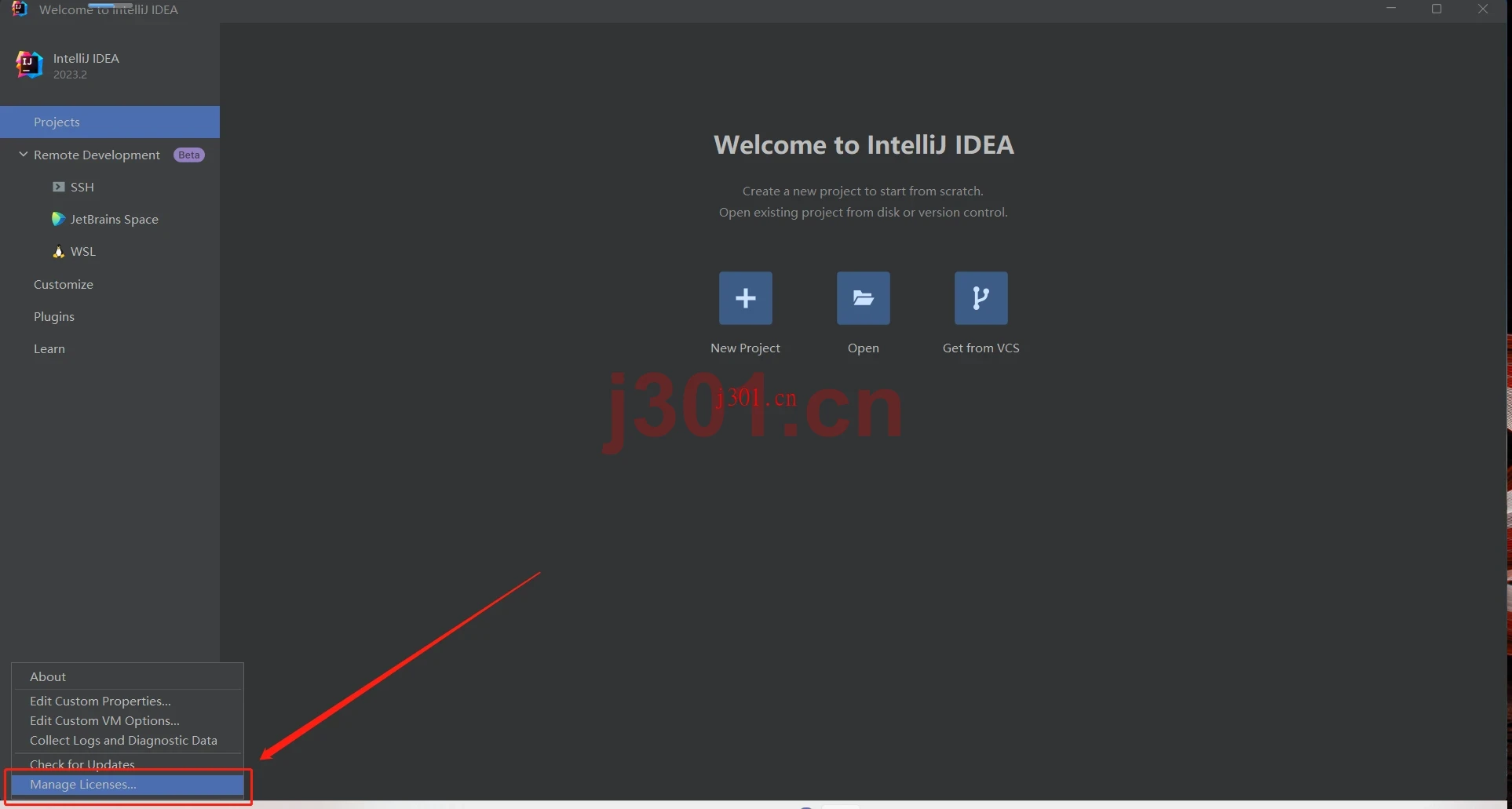 openManageLicenses.png