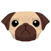 Pug