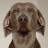 gulp-wxapp-boilerplate