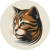 Tabby