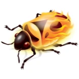 firebug