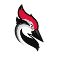 Woodpecker