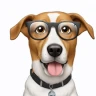 openai-captcha-detection