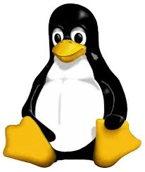 LINUX DO