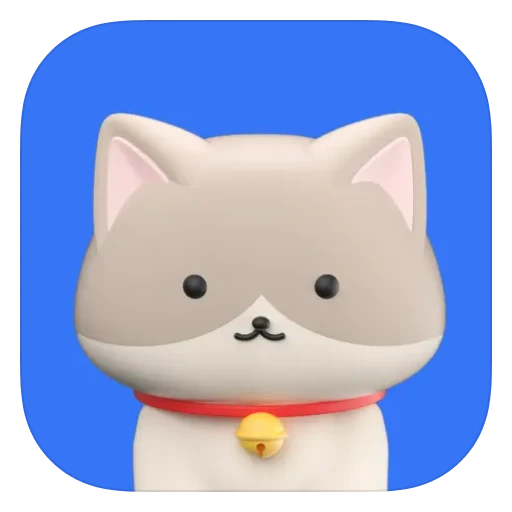 专注猫