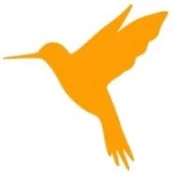HttpCanary