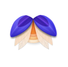Elytra
