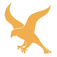 Falcon